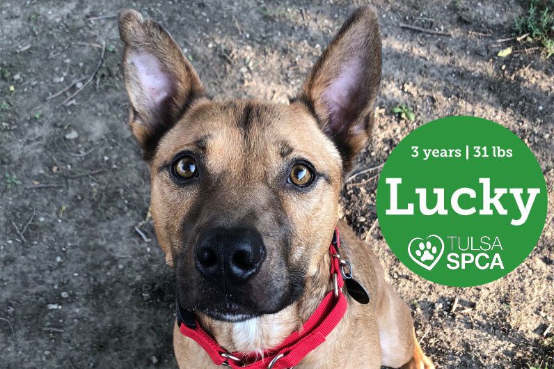 Lucky